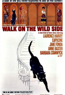 Pelos Bairros do Vício (Walk on the Wild Side)