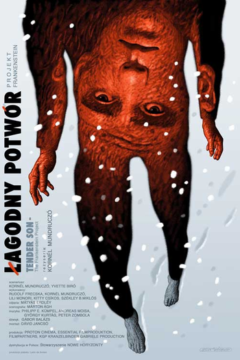  de Filme Filho Terno - O Projeto Frankenstein (2010)