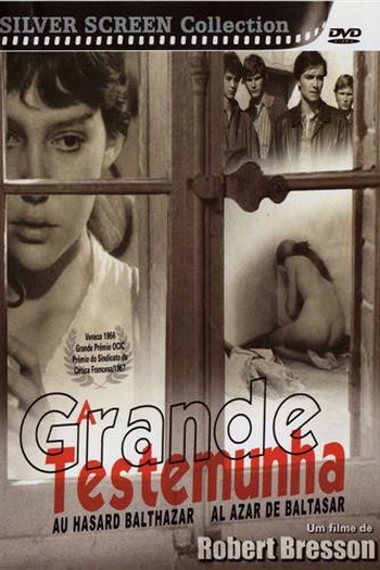  de Filme A Grande Testemunha (1966)
