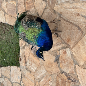 Foto de perfil de Vinícius