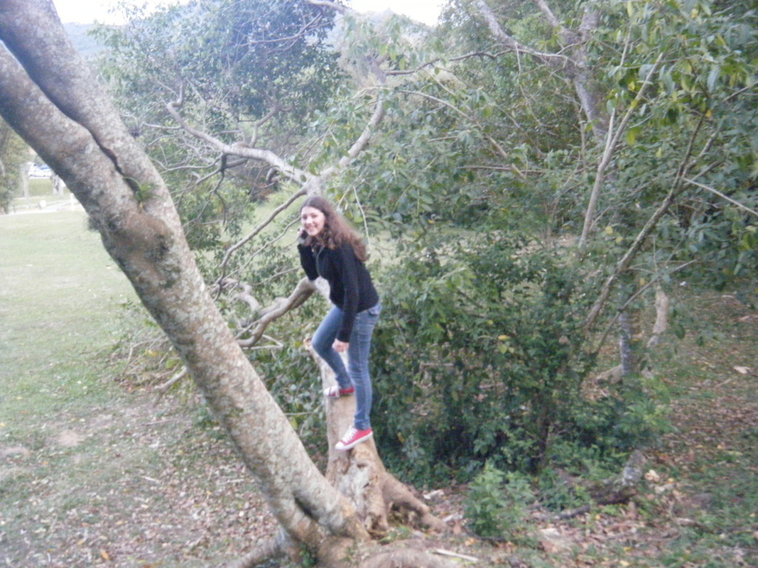Carol Gomez - Foto 2