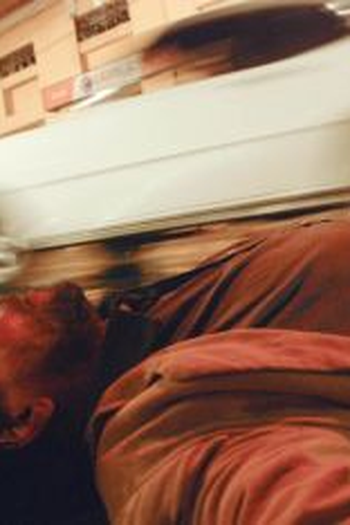 Poster de Curta O Plano do Cachorro (2009)