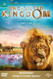 Enchanted Kingdom - Poster / Capa / Cartaz - Oficial 3