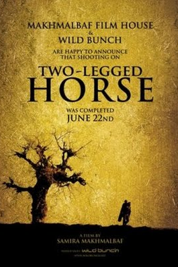 Poster de Filme Cavalo de Duas Pernas (2008)