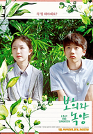 A Boy and Sungreen
