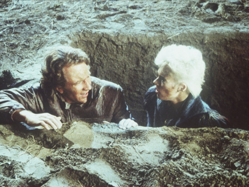 Foto 5 de Dublê de Corpo