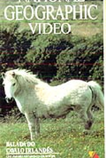 National Geographic Video - Balada do Cavalo Irlandês - Poster / Capa / Cartaz - Oficial 1