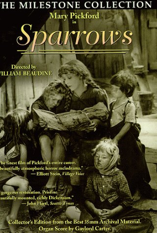 Poster 3 de Filme Aves sem Ninho (1926)