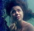 Dolphin Tale