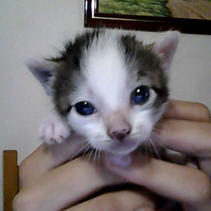 Foto de perfil de fasfsag