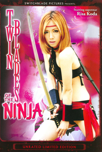 Twin Blades of the Ninja - Poster / Capa / Cartaz - Oficial 1