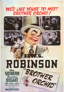 Irmão Orquídea (Brother Orchid)