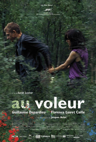 Poster 1 de Filme Au voleur (2009)