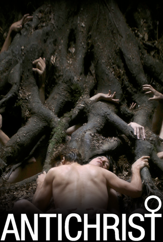 Poster 28 de Filme Anticristo (2009)