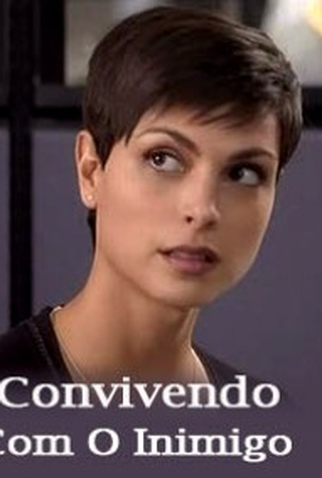 Poster 2 de Filme Convivendo Com O Inimigo (2011)