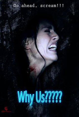 Poster 1 de Filme Why Us? (2012)