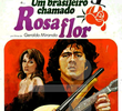 Um brasileiro chamado Rosaflor