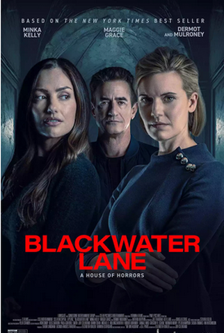 Poster 1 de Filme A Casa do Engano (2024)