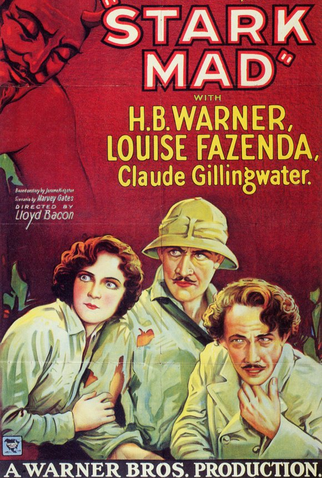 Poster 2 de Filme Stark Mad (1929)