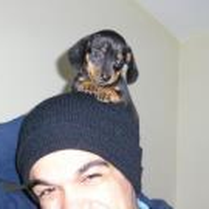 Foto de perfil de Gil Venturelli
