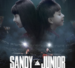 Sandy e Junior: A História