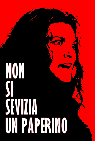 Poster 13 de Filme O Segredo do Bosque dos Sonhos (1972)