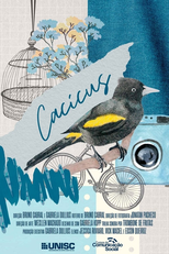Cacicus (Cacicus)