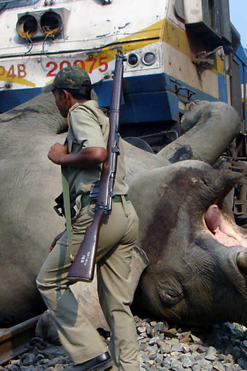 Poster de Curta O Planeta Terra é Você (2013)