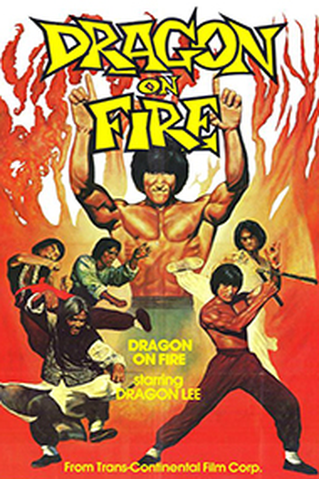 Poster de Filme Shaolin, O Dragão Herói (1979)