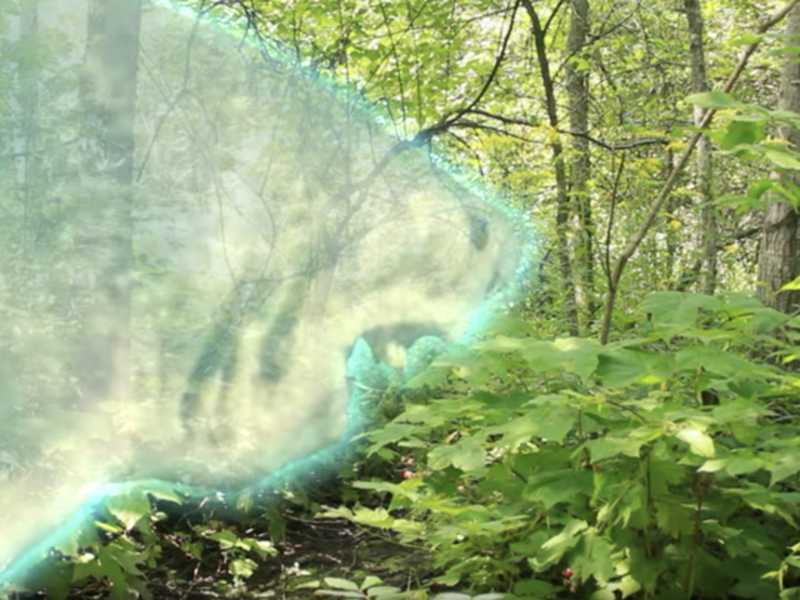 Foto 4 de Ouija Shark