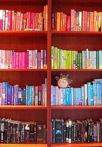 Organizing the Bookcase  (Organizing the Bookcase )