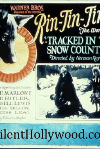 Poster 3 de Filme Perdidos nas Regiões Geladas (1925)