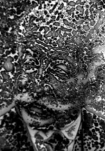 Cinematograph (Cinematograph)