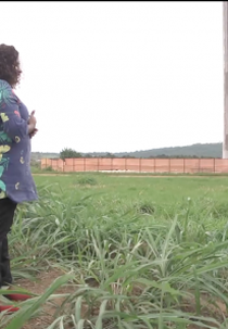 Real Conquista (Real Conquista)