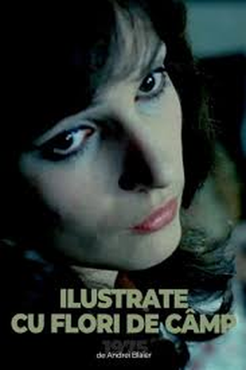 Poster de Filme Postcards with Wildflowers (1975)