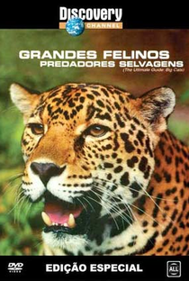 Grandes felinos: Predadores selvagens - Poster / Capa / Cartaz - Oficial 1