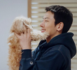 8회