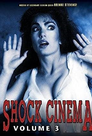 Poster 2 de Filme Shock Cinema Vol. 3 (1991)