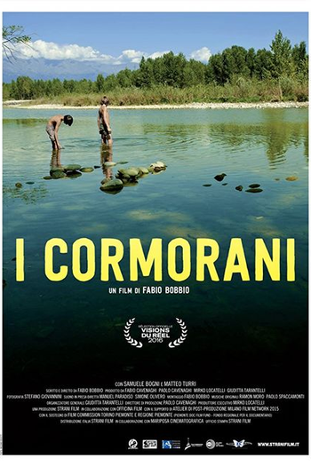 Poster de Filme The Cormorants (2016)