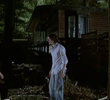A Midsummer Night's Dream