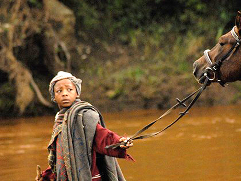 Foto 1 de The Forgotten Kingdom