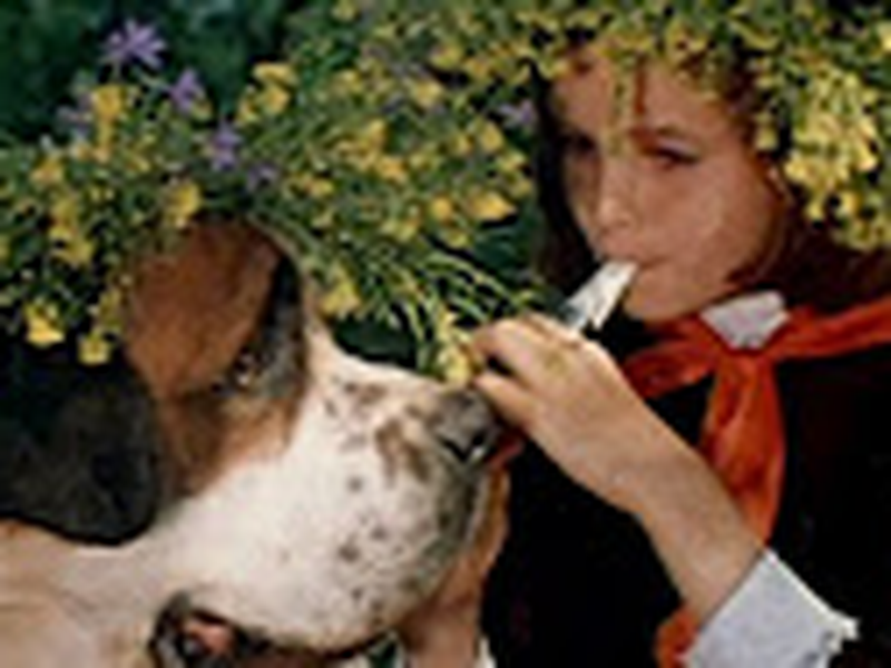 Foto 4 de Det skaldede spøgelse