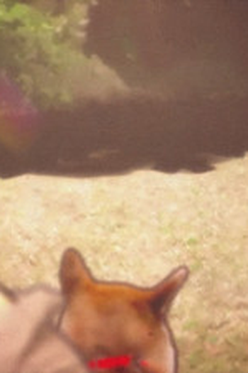 Poster de Episódio Encounter (2015)