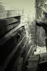 Thy Shalt I (Thy Shalt I)