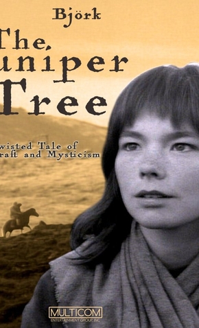 the juniper tree