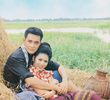 มนต์รักลูกทุ่ง (1995)