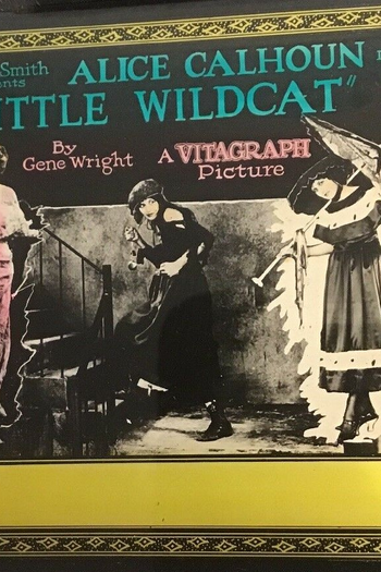  de Filme Little Wildcat (1922)