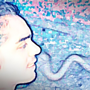 Foto de perfil de Wallisson Gomes