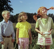 Pippi ordnar en utflykt