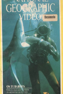 National Geographic Vídeo - Os Tubarões - Poster / Capa / Cartaz - Oficial 1